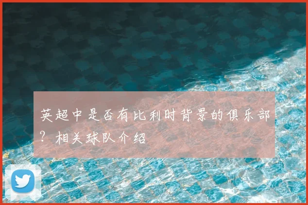 英超中是否有比利时背景的俱乐部?相关球队介绍